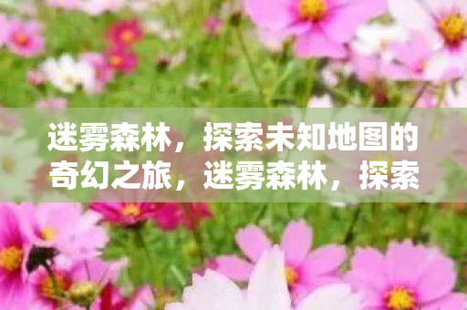 迷雾森林，探索未知地图的奇幻之旅，迷雾森林，探索未知地图的奇幻之旅