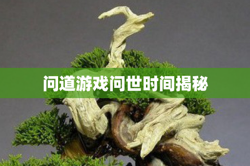 问道游戏问世时间揭秘图片