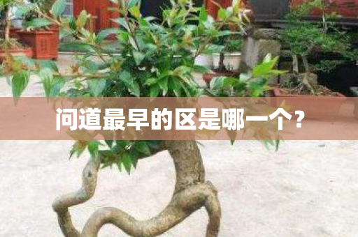 问道最早的区是哪一个图片