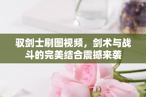 剑术与战斗的完美结合震撼来袭图片