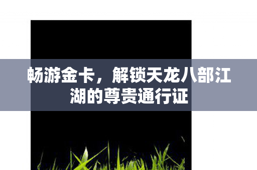 解锁天龙八部江湖的尊贵通行证图片