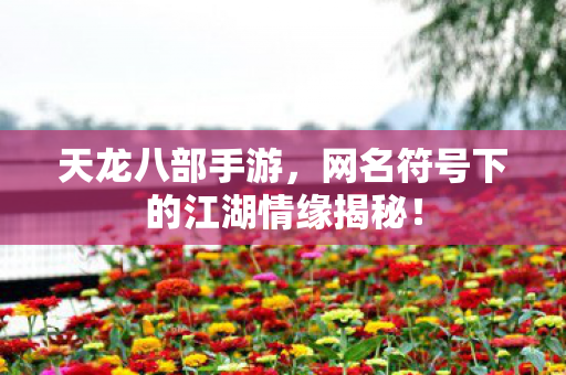 网名符号下的江湖情缘揭秘图片