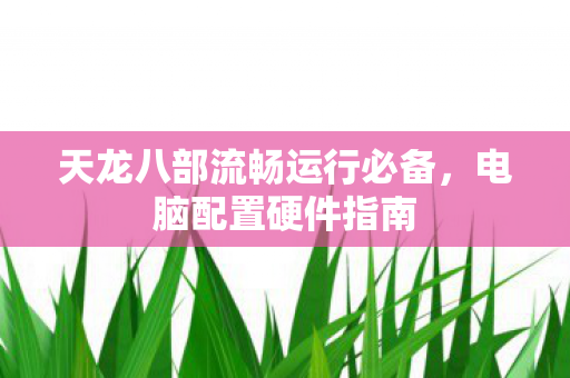 天龙八部流畅运行必备图片