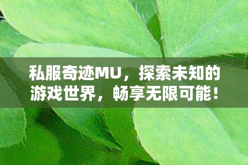 探索未知的游戏世界图片