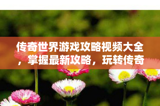 传奇世界游戏攻略视频大全图片