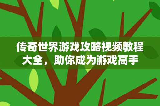 传奇世界游戏攻略视频教程大全图片
