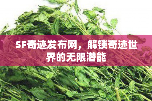 解锁奇迹世界的无限潜能图片