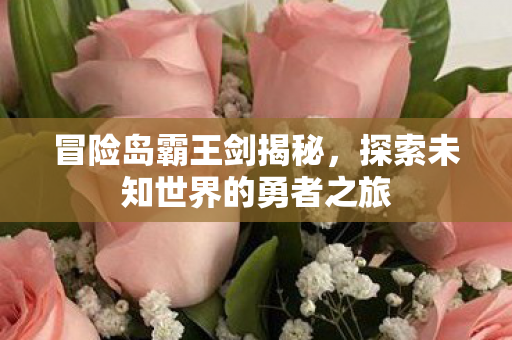 冒险岛霸王剑揭秘,探索未知世界的勇者之旅 冒险岛霸王剑揭秘,探索未知世界的勇者之旅