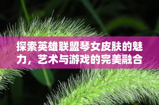 探索英雄联盟琴女皮肤的魅力图片
