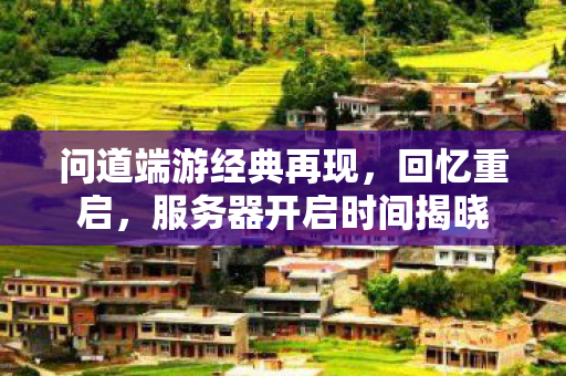 服务器开启时间揭晓图片