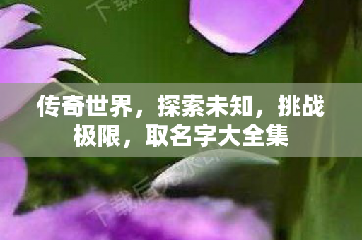 取名字大全集图片
