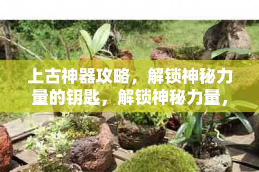 解锁神秘力量的钥匙图片