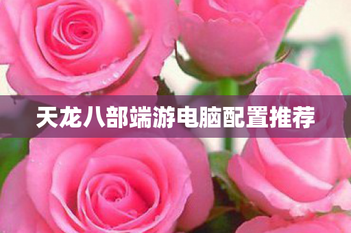 天龙八部端游电脑配置推荐图片