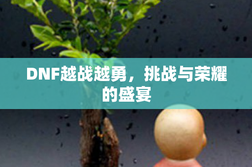 挑战与荣耀的盛宴图片