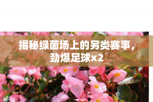 揭秘绿茵场上的另类赛事,劲爆足球x2 揭秘绿茵场上的另类赛事,劲爆足球x2