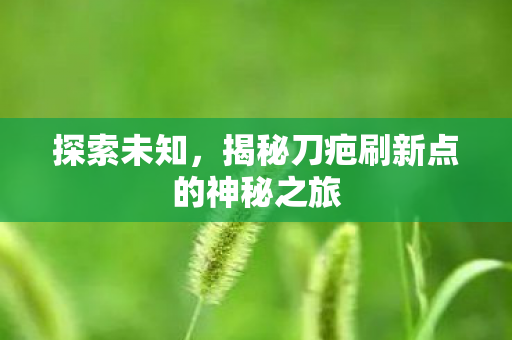 揭秘刀疤刷新点的神秘之旅图片