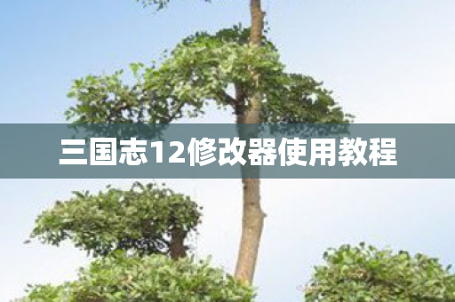 三国志12修改器使用教程图片