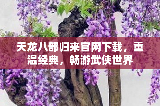 天龙八部归来官网下载图片