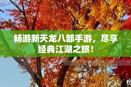 畅游新天龙八部手游图片