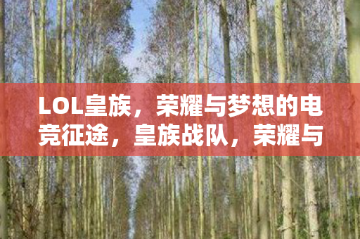 荣耀与梦想的电竞征途图片
