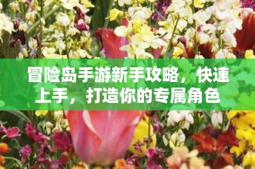 冒险岛手游新手攻略图片
