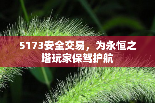 为永恒之塔玩家保驾护航图片