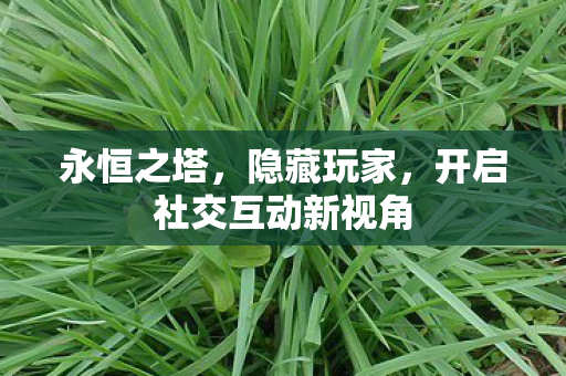 开启社交互动新视角图片