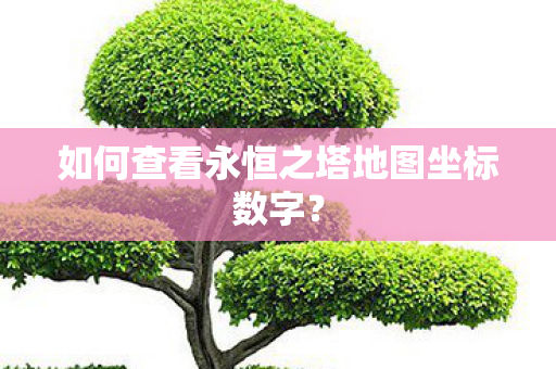 如何查看永恒之塔地图坐标数字图片