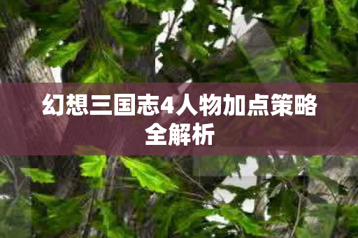 幻想三国志4人物加点策略全解析图片