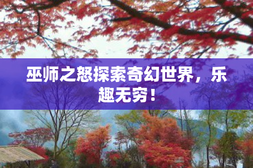巫师之怒探索奇幻世界图片
