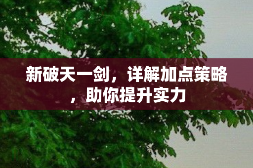 详解加点策略图片