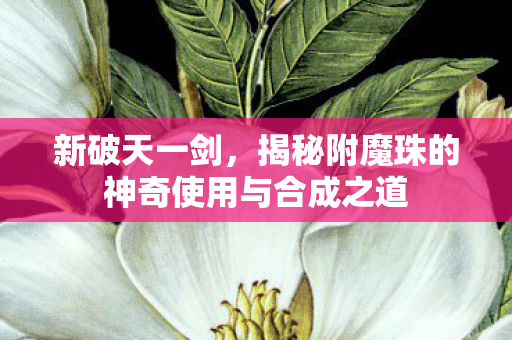 揭秘附魔珠的神奇使用与合成之道图片