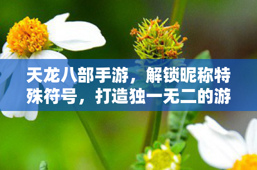打造独一无二的游戏身份图片