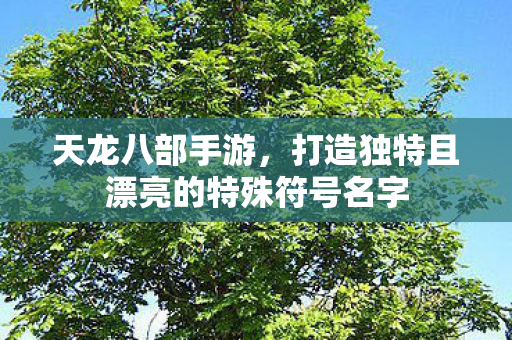 打造独特且漂亮的特殊符号名字图片
