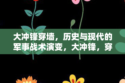历史与现代的军事战术演变图片