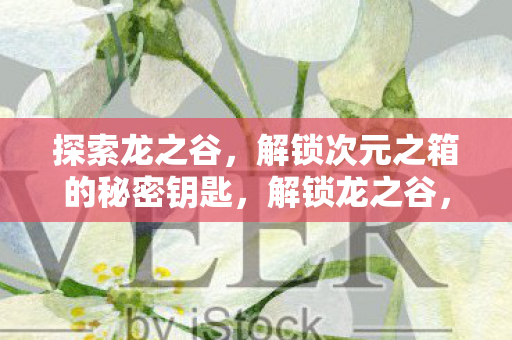 探索龙之谷,解锁次元之箱的秘密钥匙,解锁龙之谷,探索次元之箱的秘密钥匙 探索龙之谷,解锁次元之箱的秘密钥匙,解锁龙之谷,探索次元之箱的秘密钥匙