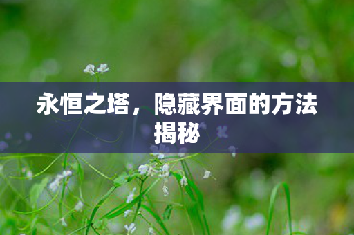 隐藏界面的方法揭秘图片