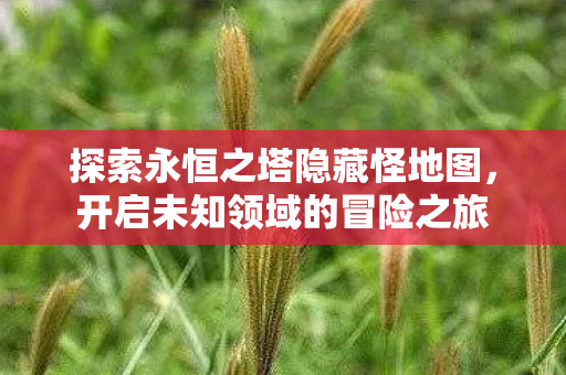 探索永恒之塔隐藏怪地图图片