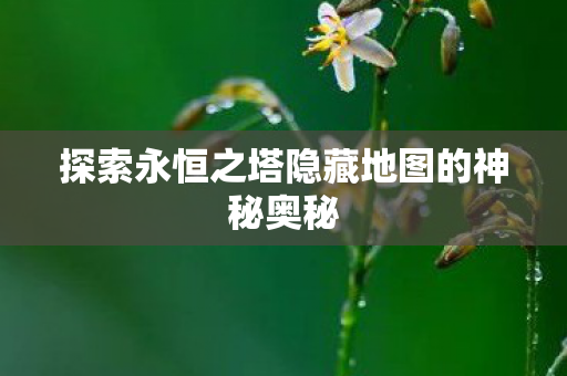探索永恒之塔隐藏地图的神秘奥秘图片