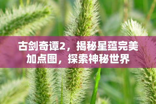 揭秘星蕴完美加点图图片