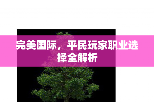 平民玩家职业选择全解析图片