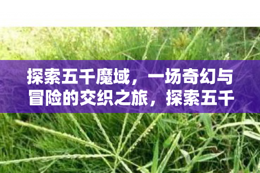 一场奇幻与冒险的交织之旅图片