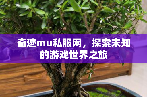探索未知的游戏世界之旅图片