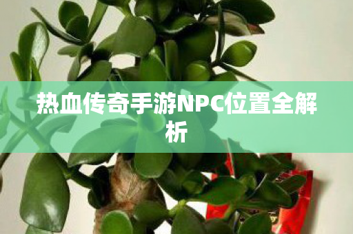 热血传奇手游NPC位置全解析图片