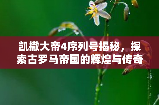 探索古罗马帝国的辉煌与传奇图片