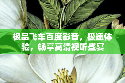 极品飞车百度影音图片