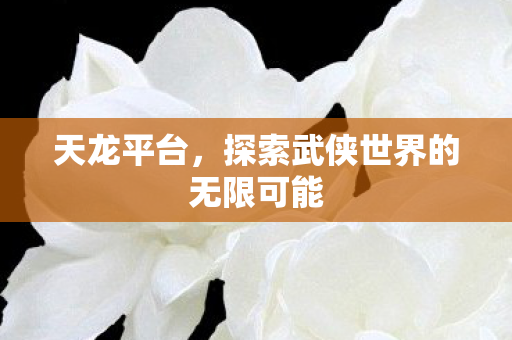 探索武侠世界的无限可能图片
