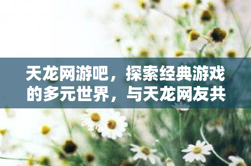 探索经典游戏的多元世界图片