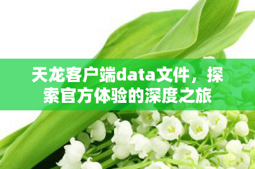 天龙客户端data文件图片