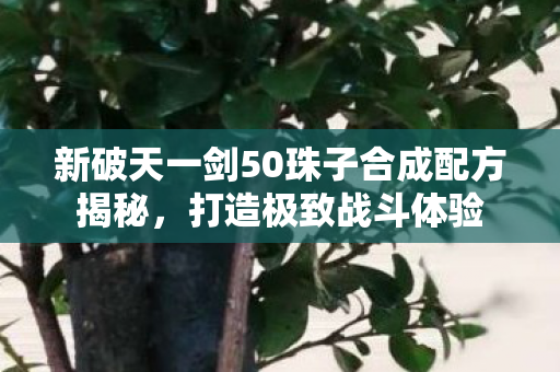 新破天一剑50珠子合成配方揭秘图片